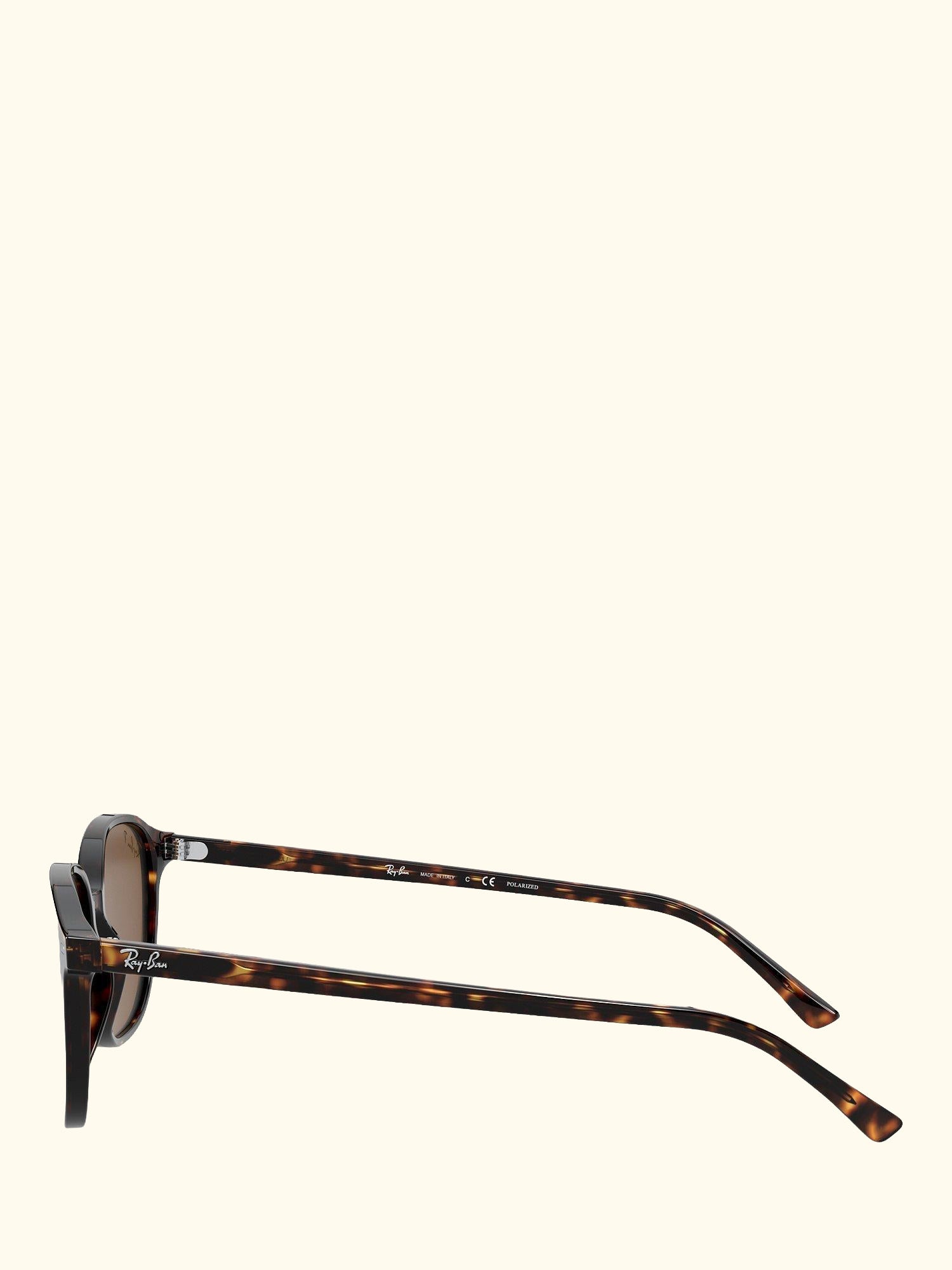 RB2193 Unisex Polarised Square Sunglasses