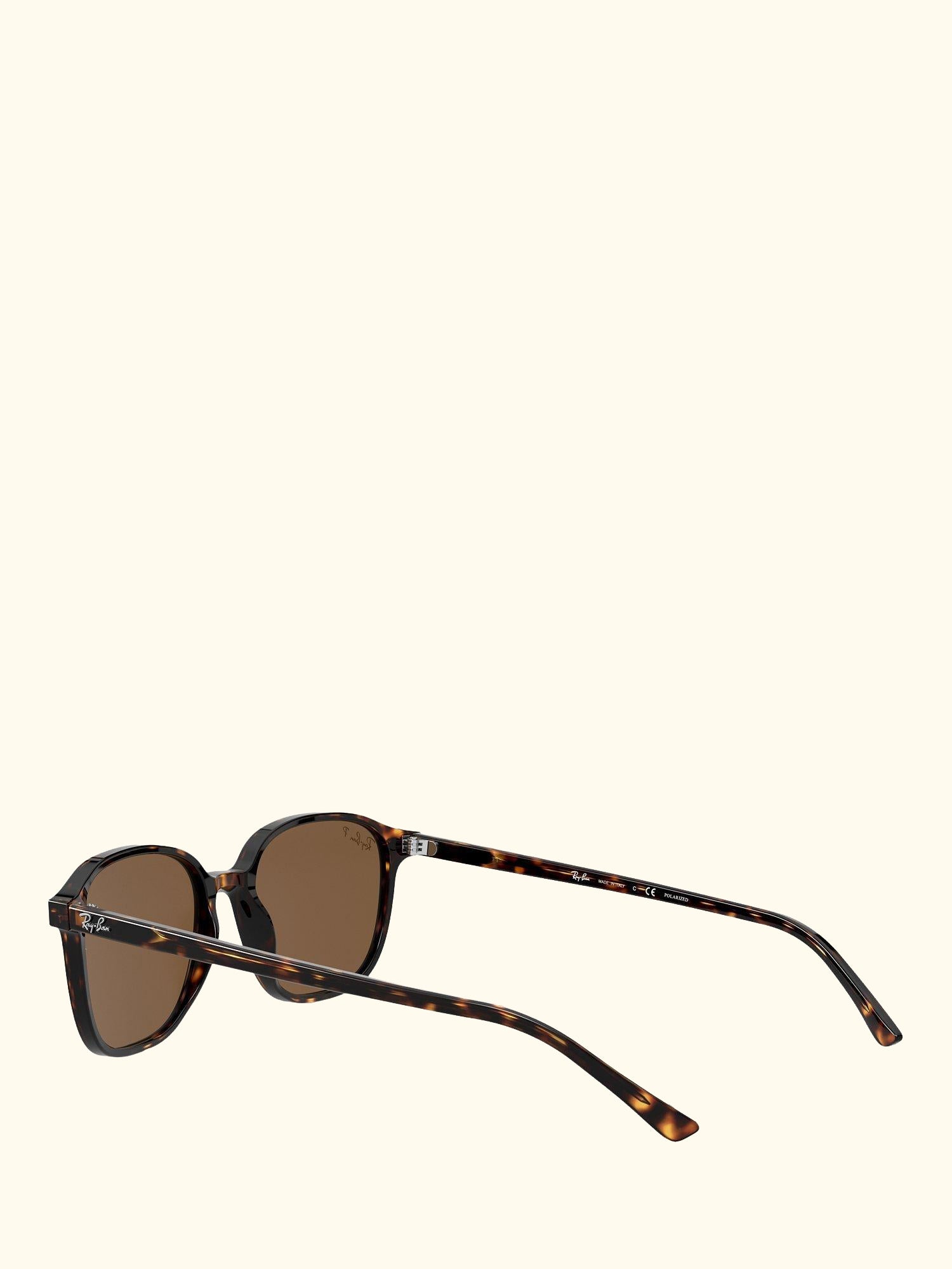 RB2193 Unisex Polarised Square Sunglasses