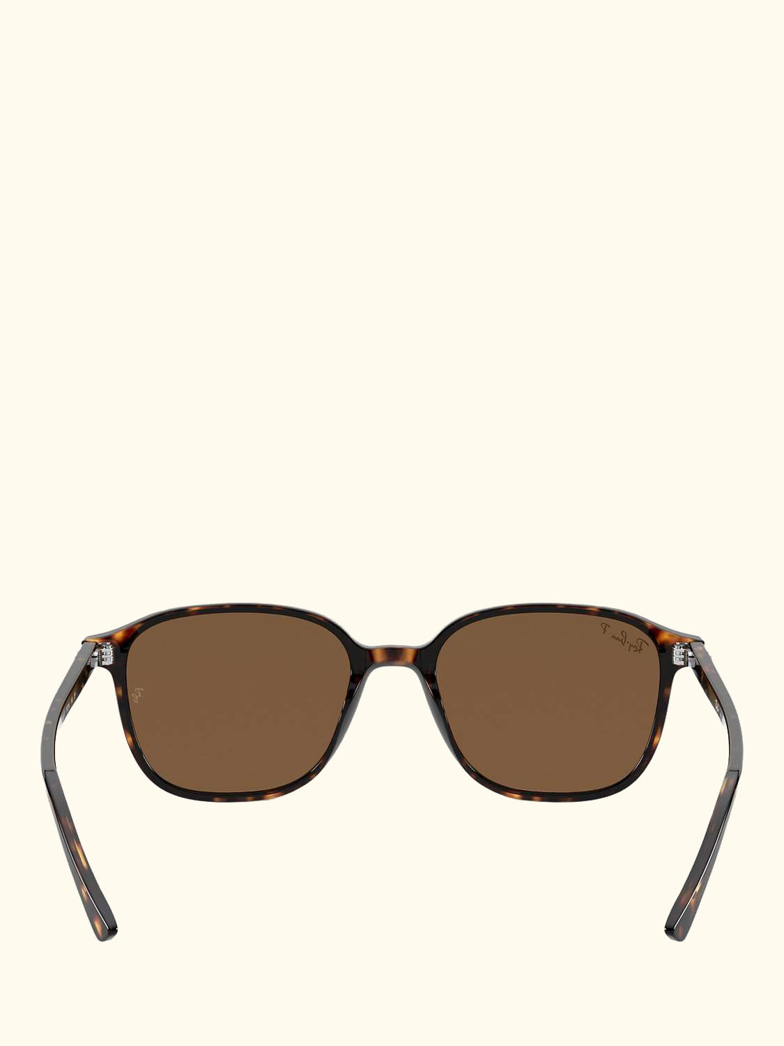 RB2193 Unisex Polarised Square Sunglasses