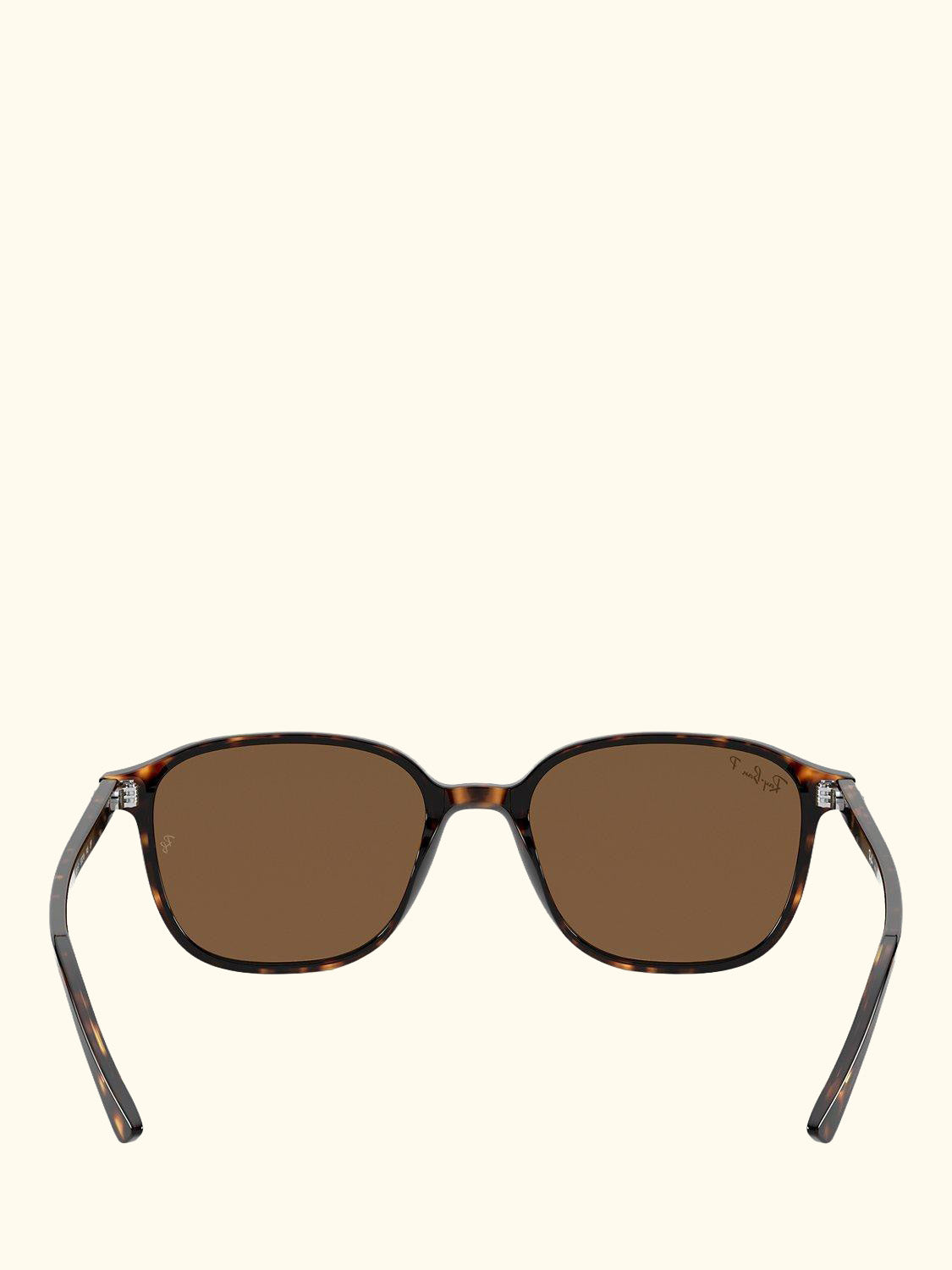 RB2193 Unisex Polarised Square Sunglasses