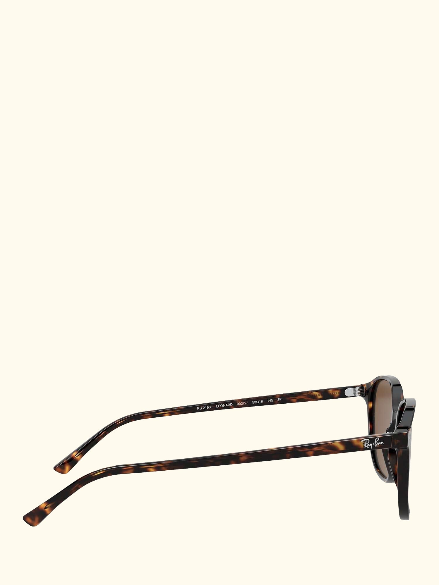 RB2193 Unisex Polarised Square Sunglasses