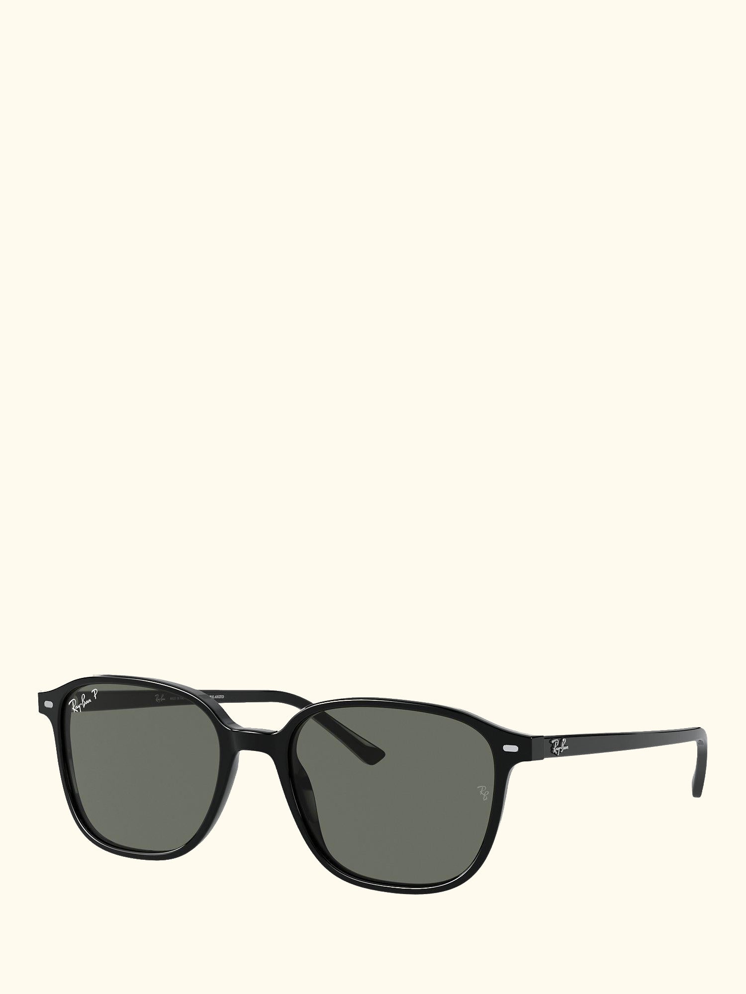 RB2193 Unisex Polarised Square Sunglasses