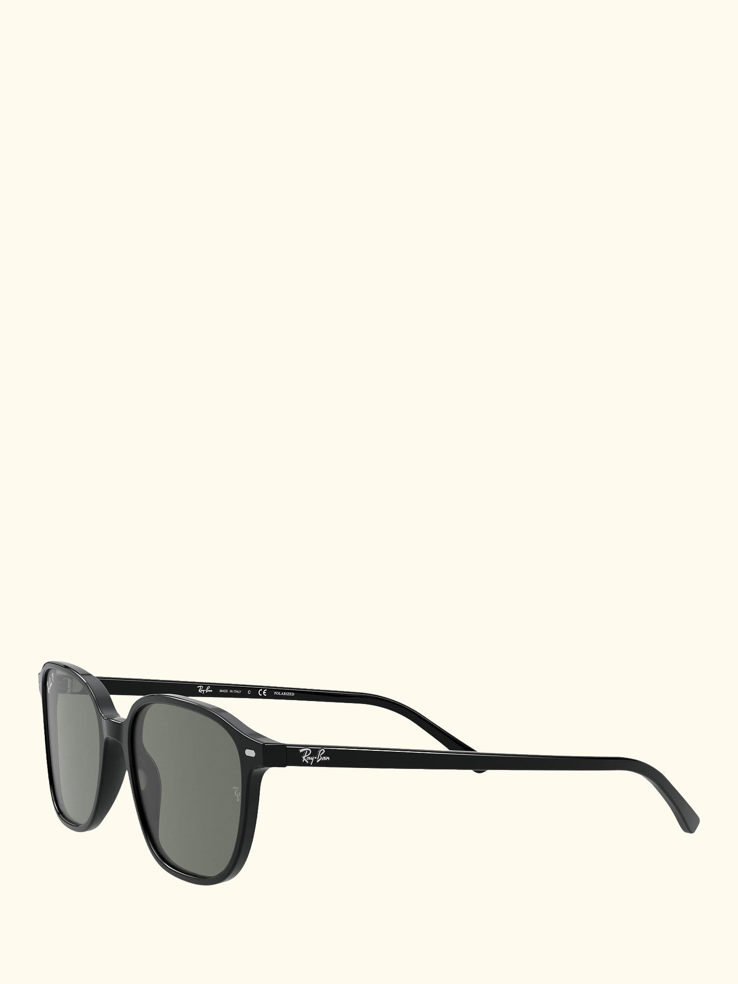 RB2193 Unisex Polarised Square Sunglasses
