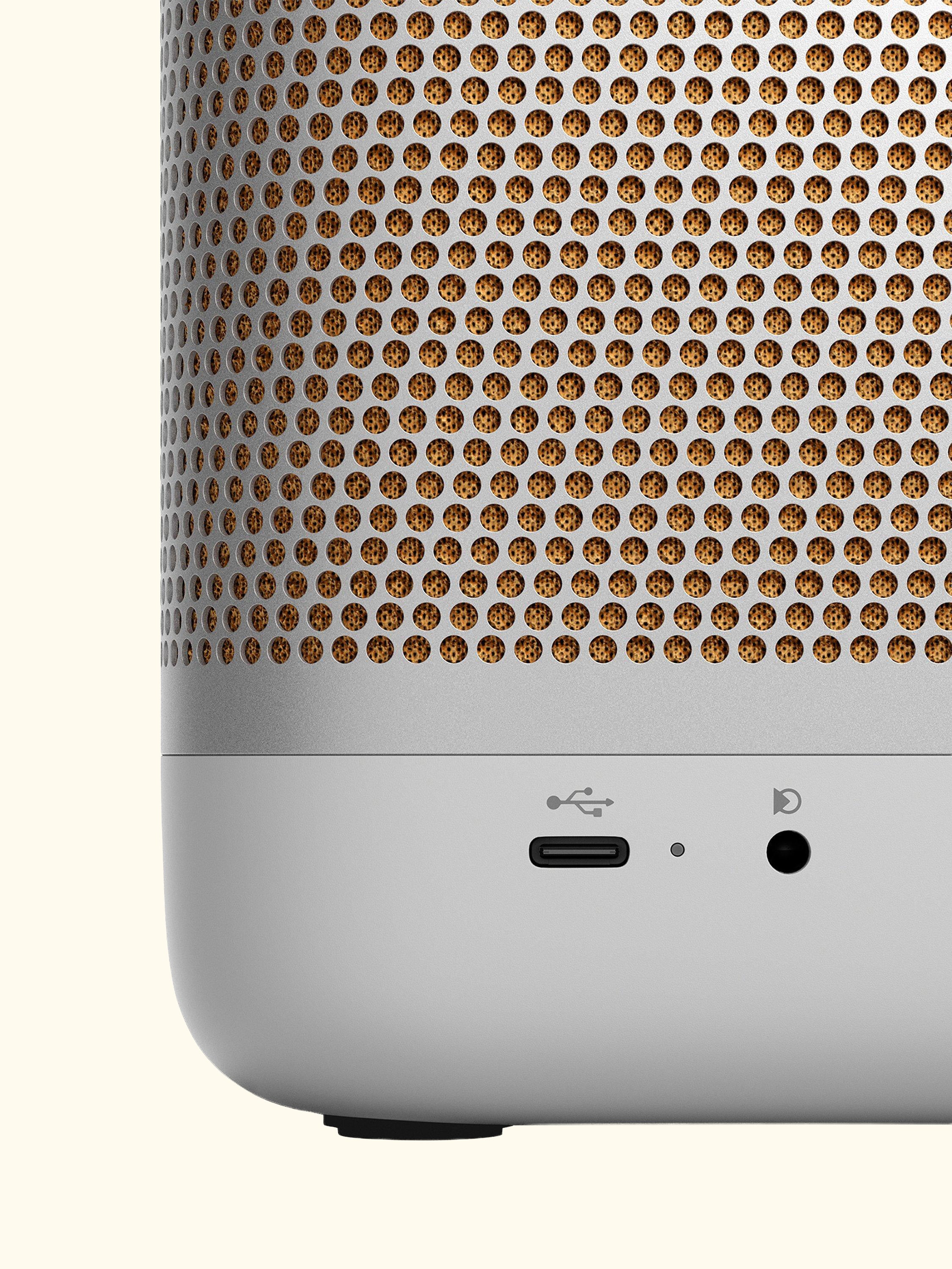 Beolit 20 Portable Bluetooth Speaker