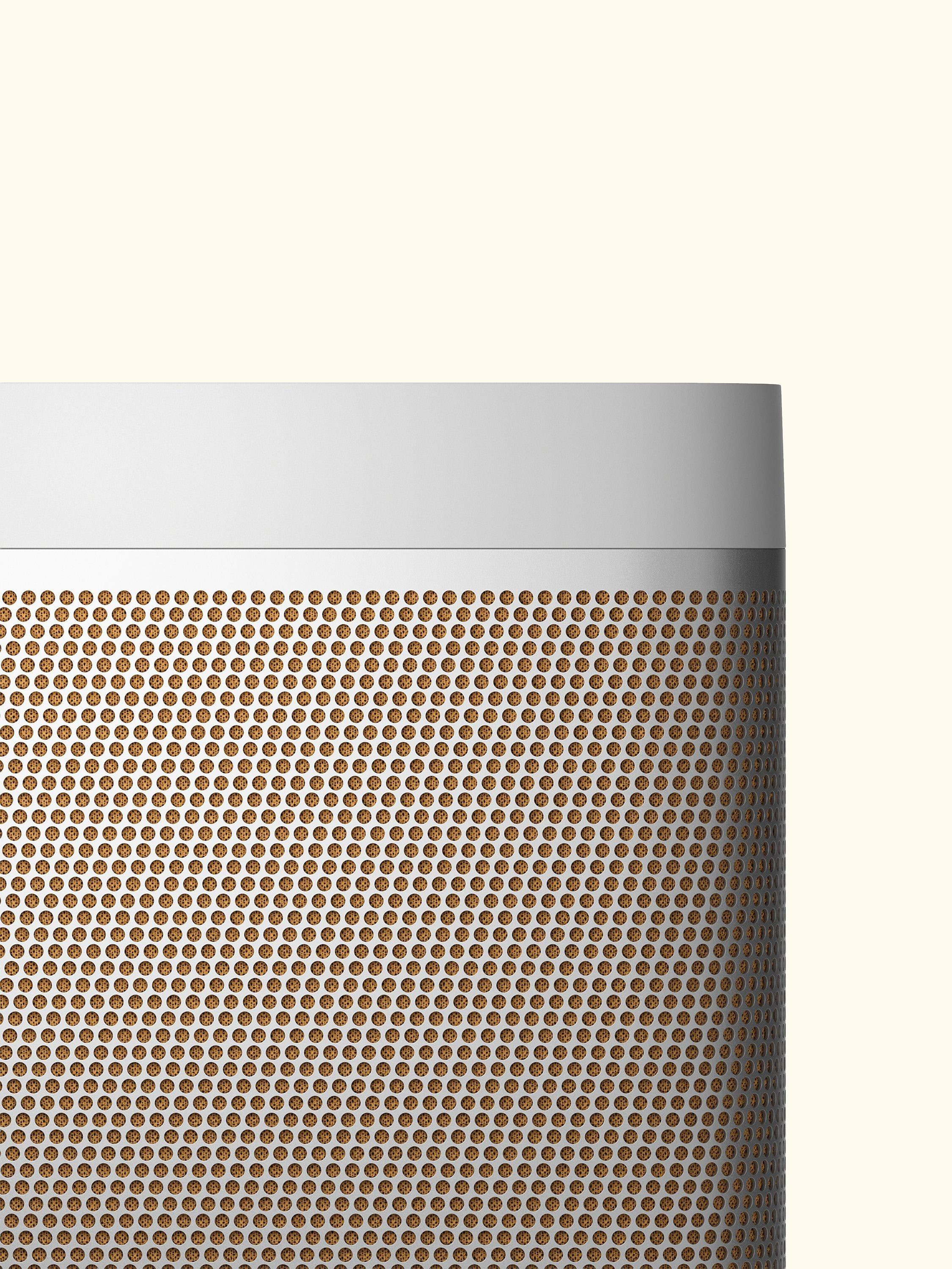 Beolit 20 Portable Bluetooth Speaker