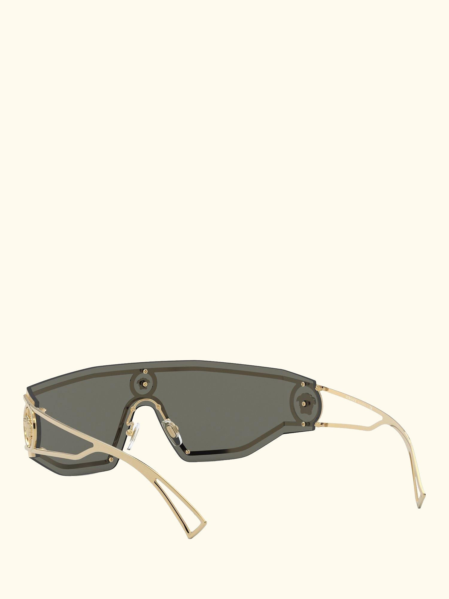 VE2226 Men's Irregular Sunglasses