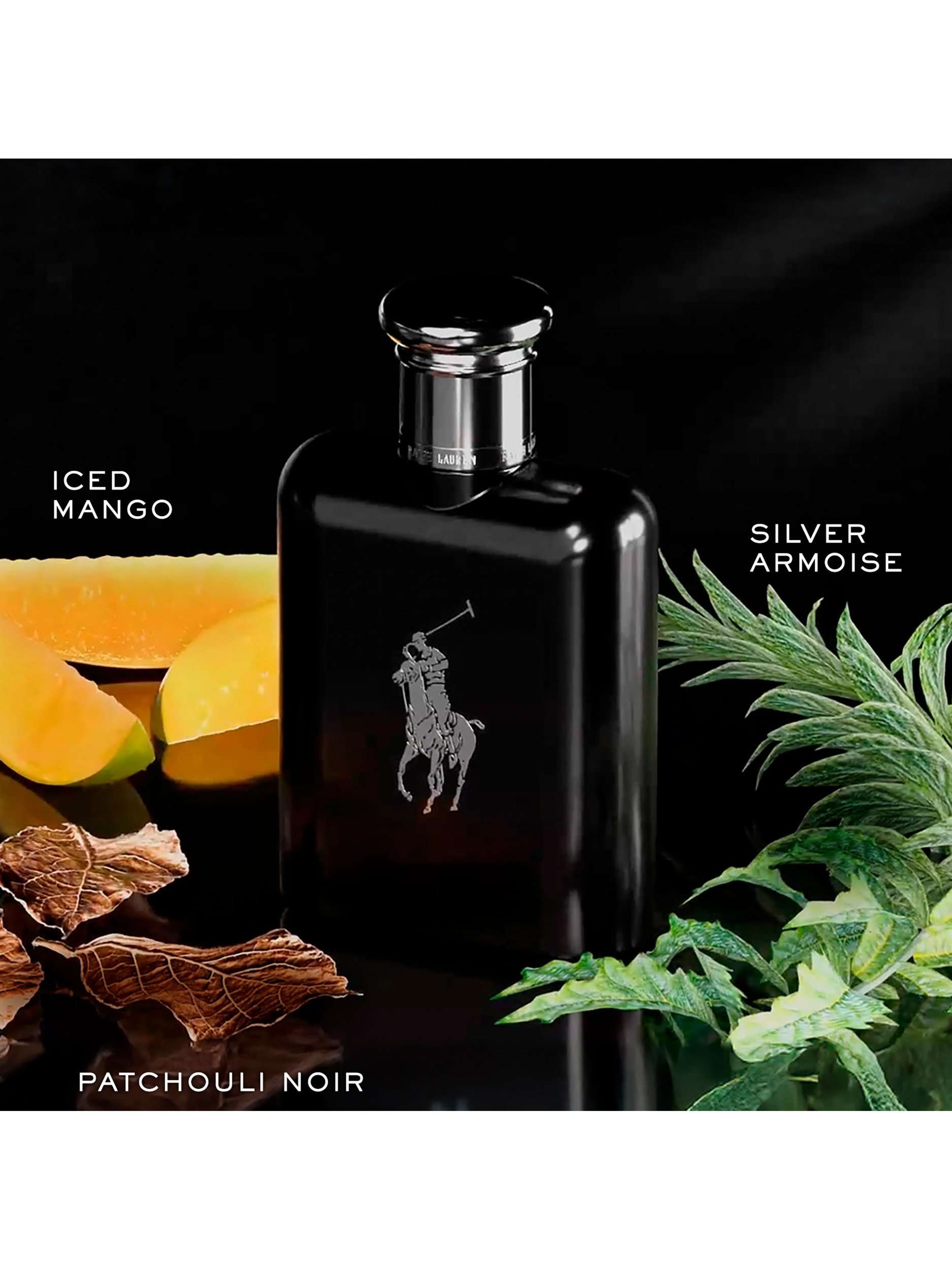 Polo Ralph Lauren Black, Eau de Toilette Spray