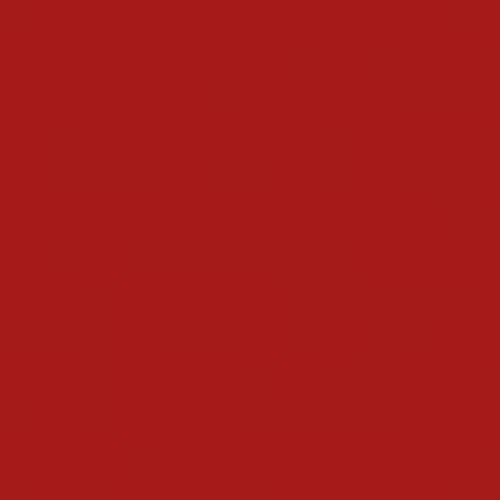Rouge DIOR Forever Liquid Lipstick