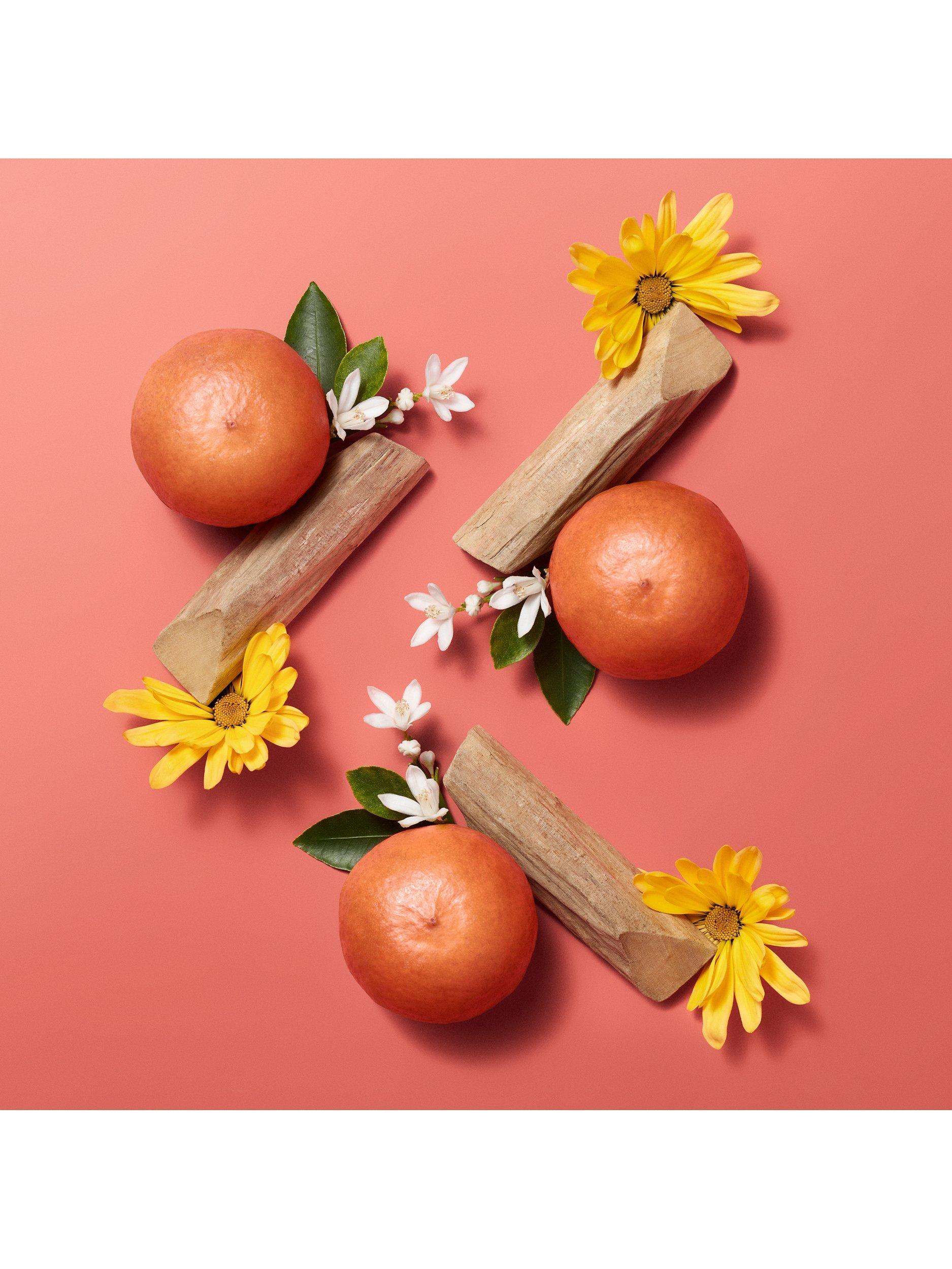 Hermèsistible Infused Care Oil Lip Gloss