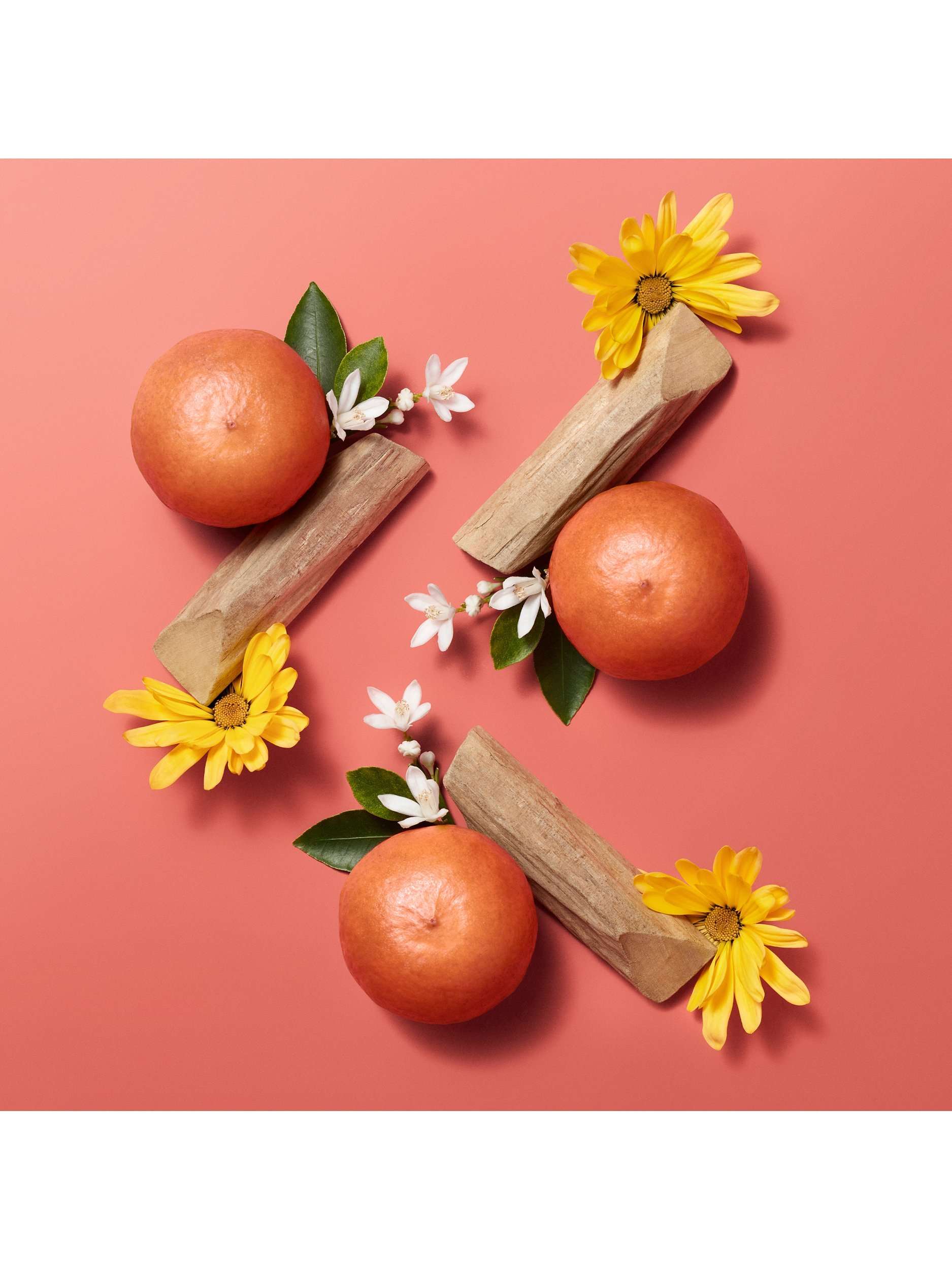 Hermèsistible Infused Care Oil Lip Gloss