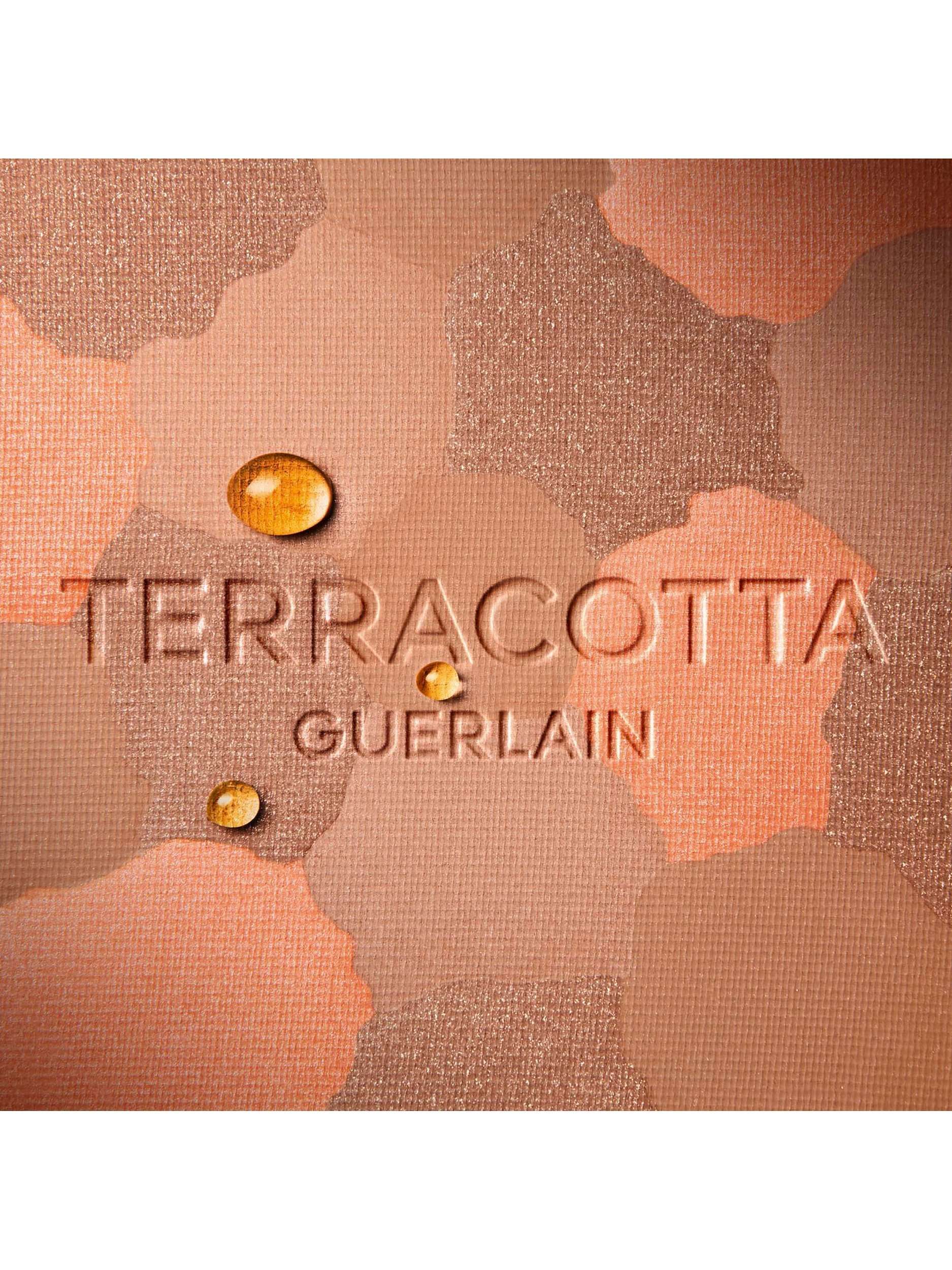 Terracotta Light The Sun-Kissed Natural Healthy Glow Powder