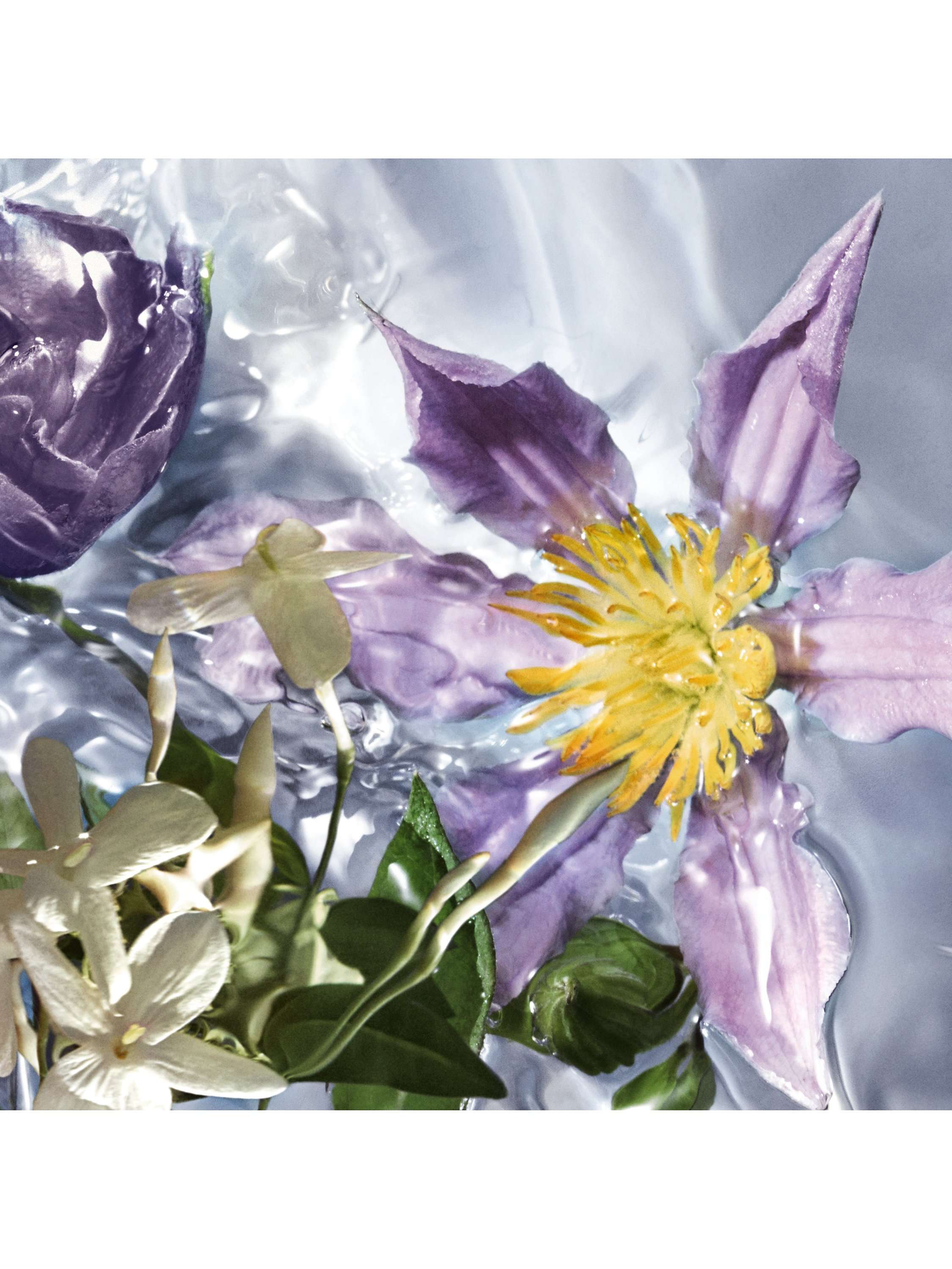 Aqua Allegoria Flora Salvaggia Eau de Toilette