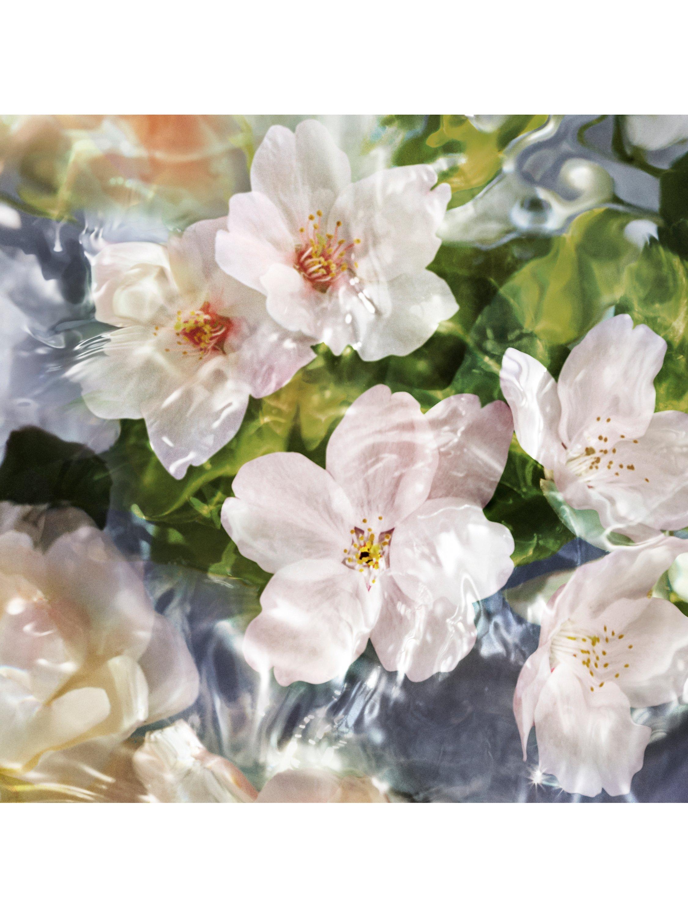 Aqua Allegoria Flora Cherrysia Eau de Toilette