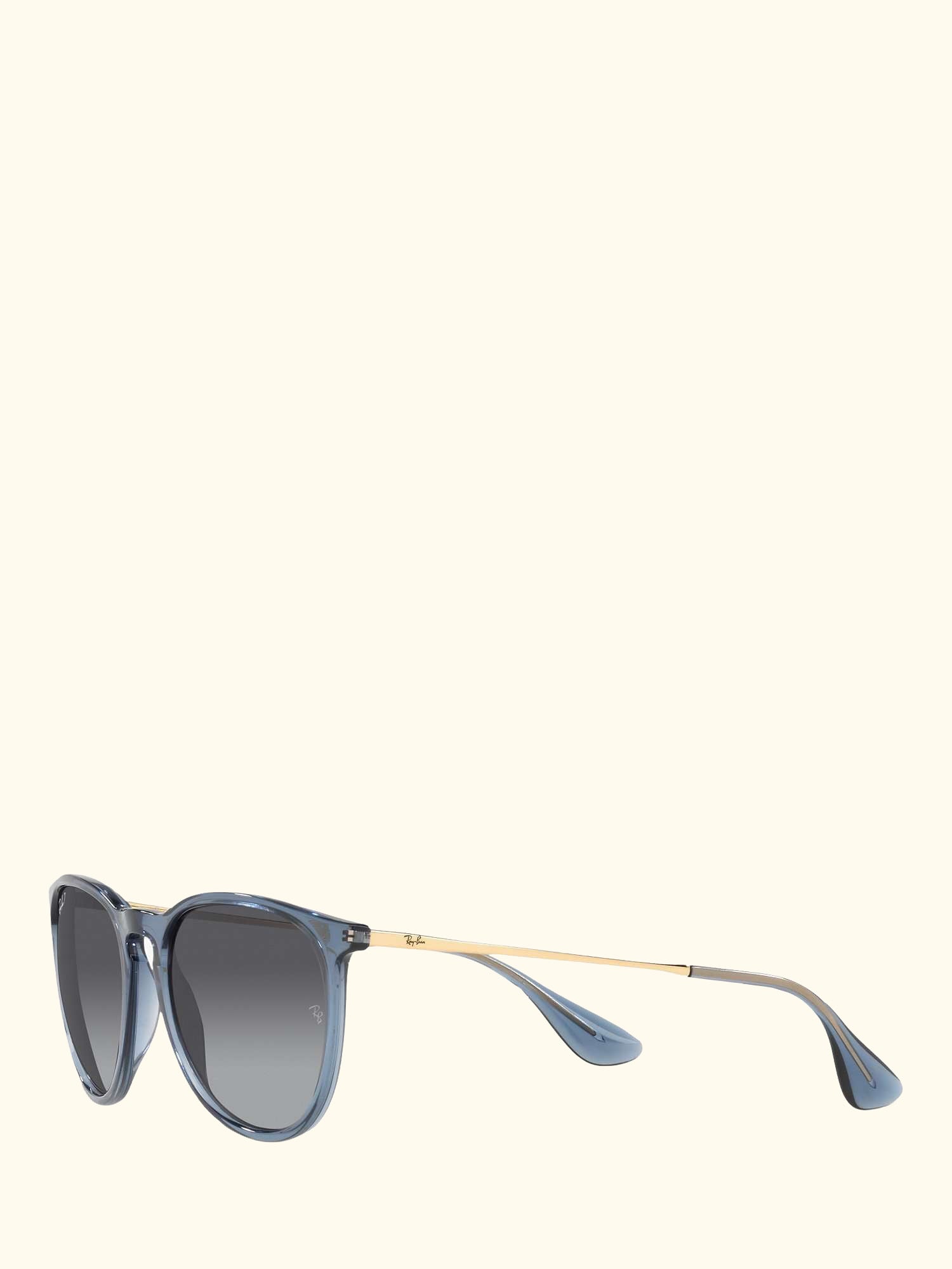 RB4171 Women's Erika Polarised Oval Sunglasses