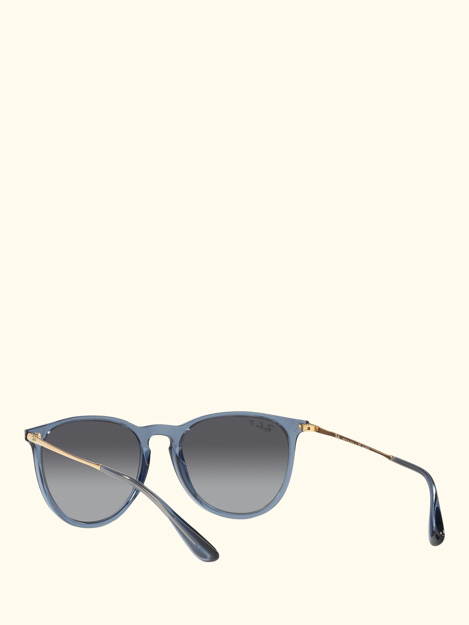 RB4171 Women's Erika Polarised Oval Sunglasses