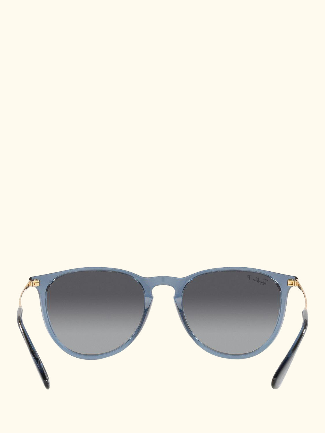 RB4171 Women's Erika Polarised Oval Sunglasses