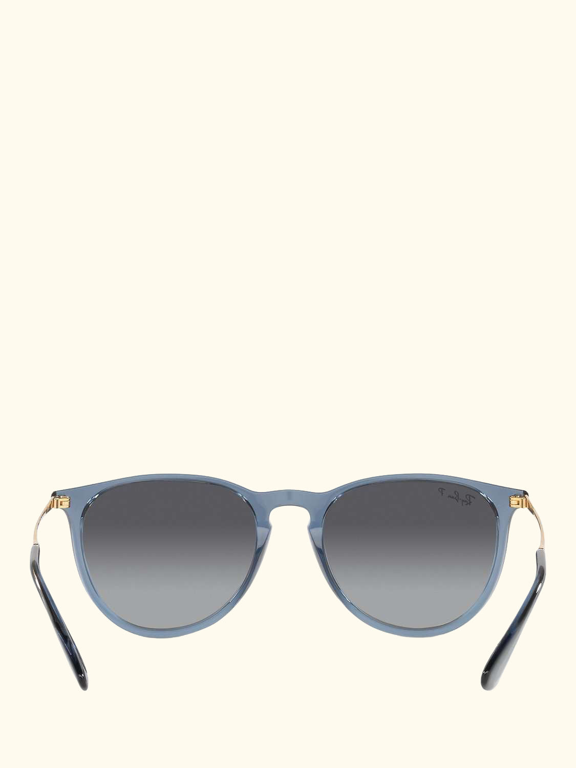 RB4171 Women's Erika Polarised Oval Sunglasses