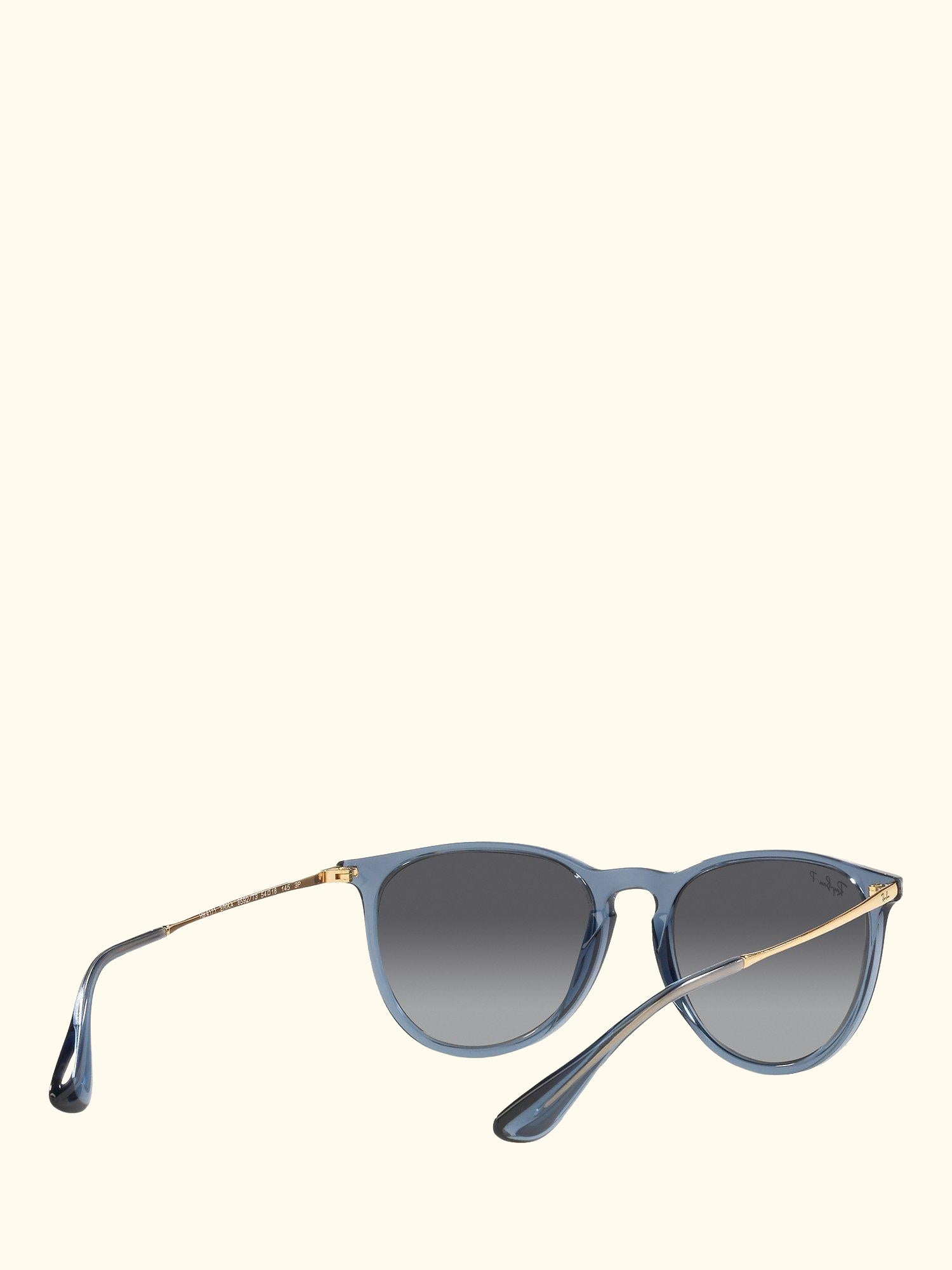 RB4171 Women's Erika Polarised Oval Sunglasses